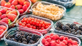 Containers of fruit